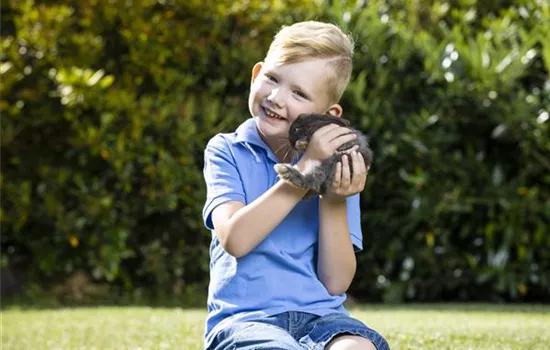 Internationaler Welttierschutztag – zum Wohl der Tiere Internationaler Welttierschutztag – zum Wohl der Tiere