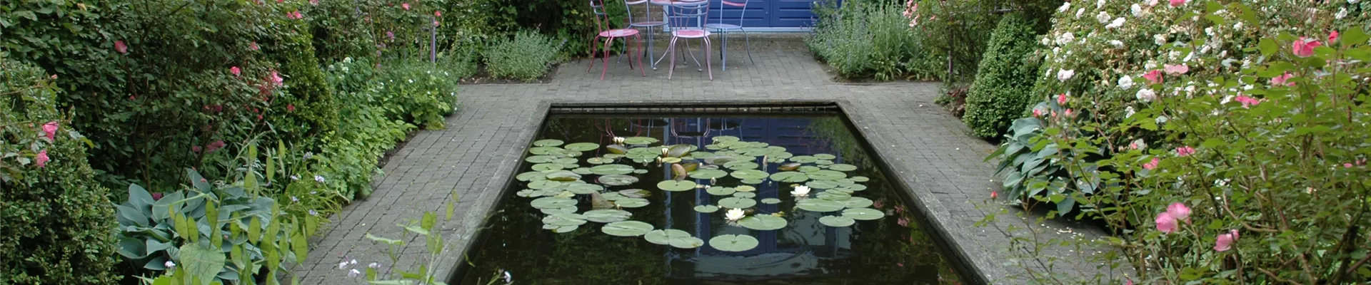 GS614795.jpg GS614795.jpg