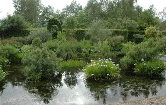 Der richtige Teichfilter – ein absolutes Muss im Fischteich! Der richtige Teichfilter – ein absolutes Muss im Fischteich!