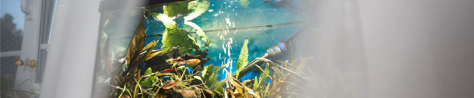 GS535174.jpg GS535174.jpg